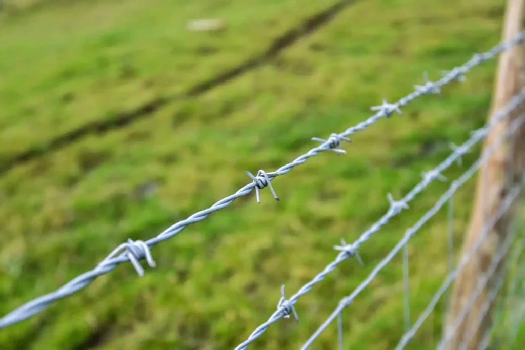 Barbed wire strands on a rural fence