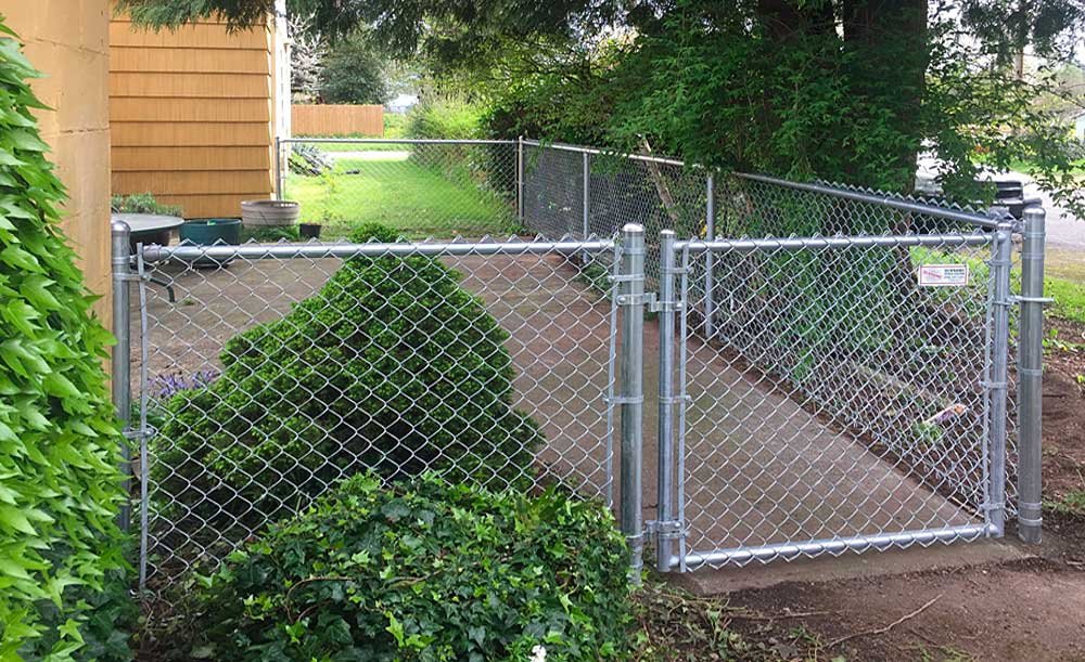 Galvanized chain link fence with a walk gate beside a hedge