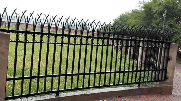 Black steel spear-top fence along a grassy property line